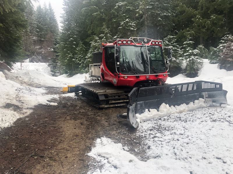 Bare Ground on Trail 3/16/2022